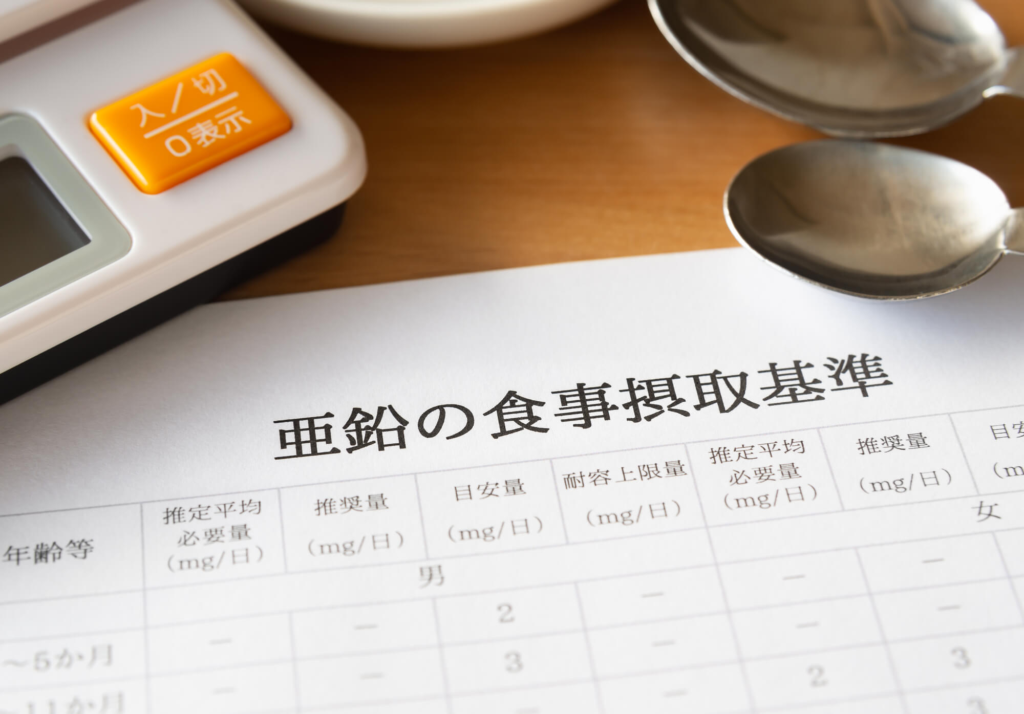 亜鉛の摂取基準を示した書類