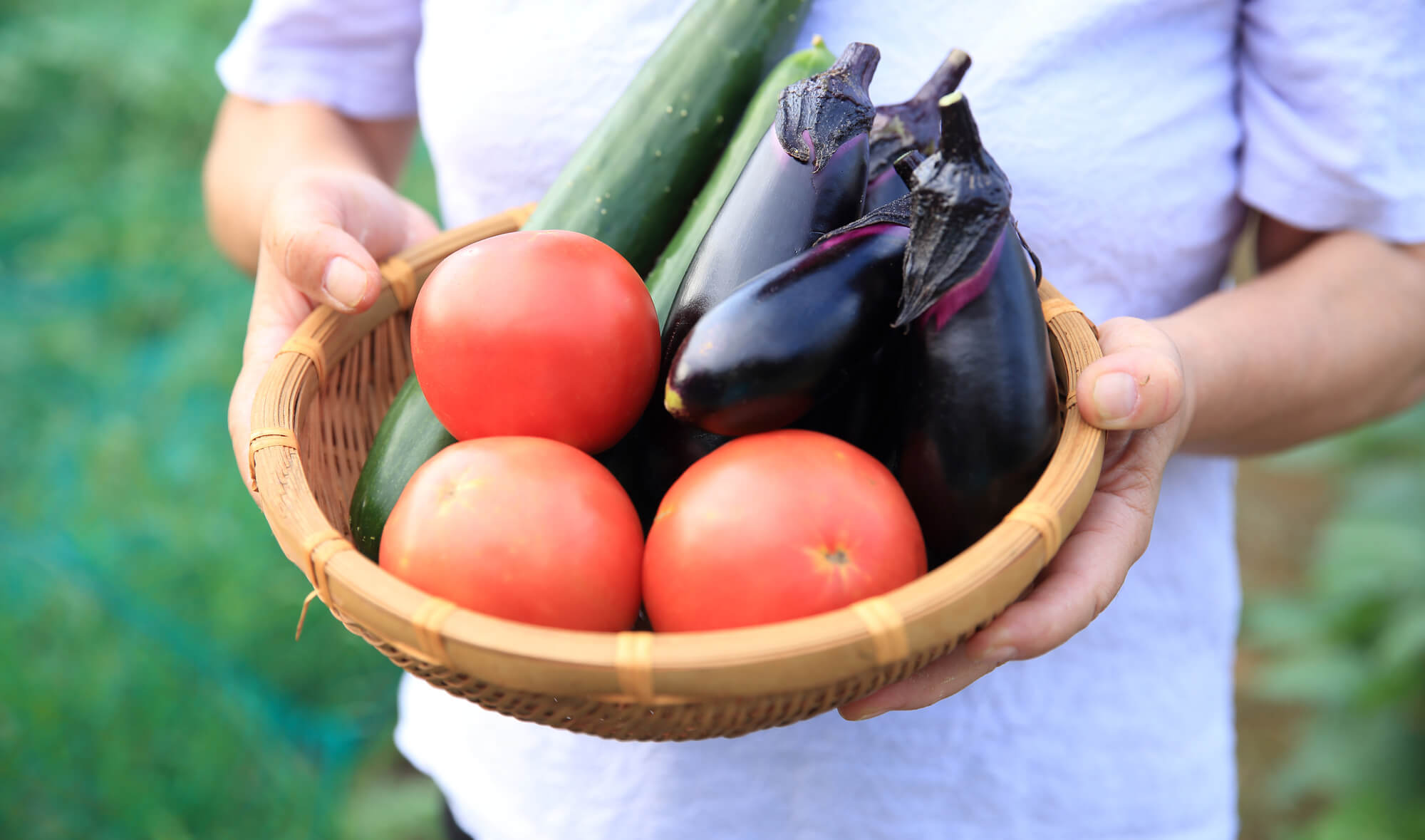 カゴに入った取れたての夏野菜を差し出す手元